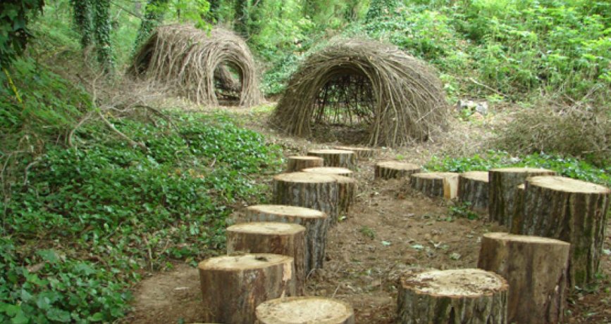 Ijams Nature Center Guided Hike