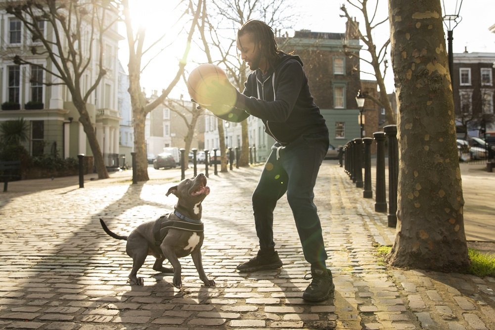Dog-Friendly Downtown Walk