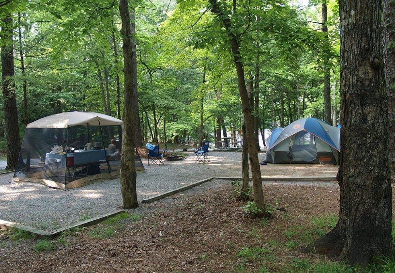 Smokies: Cades Cove Day Trip