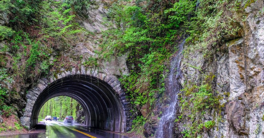 Smokies: Cades Cove Day Trip