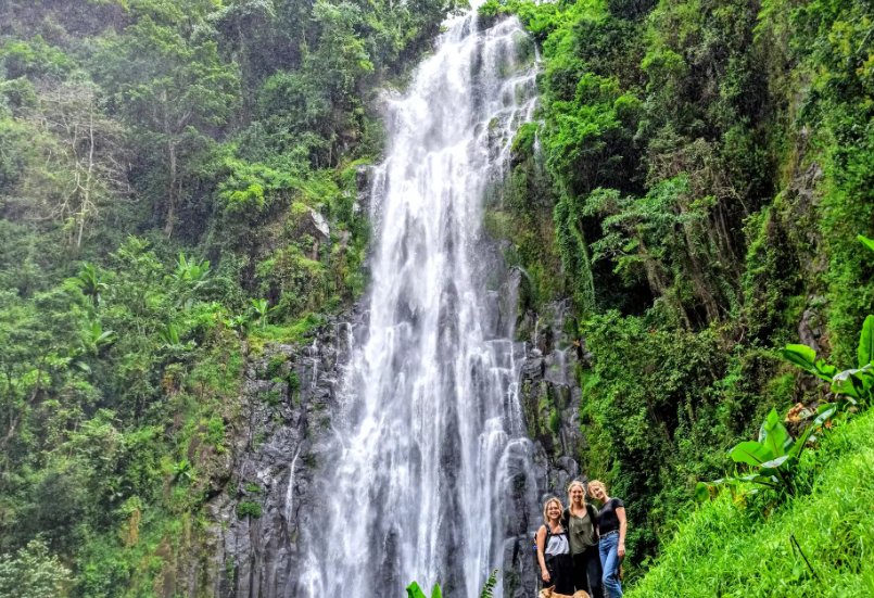 Smokies Waterfalls Day Trip