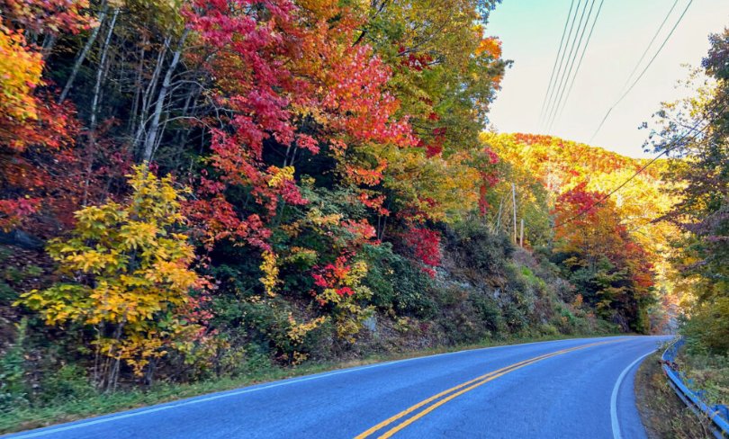 Foothills Parkway Fall Foliage