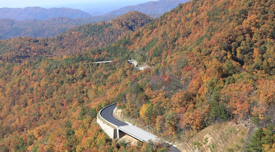 Foothills Parkway Fall Foliage