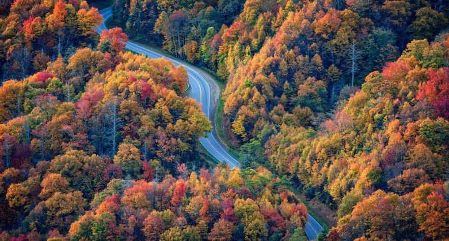 Pigeon Forge & Gatlinburg Day Trip