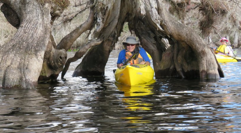 Norris Lake Kayak Excursion