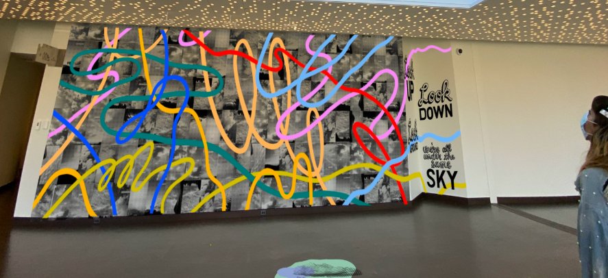 Museum & Mural Combo