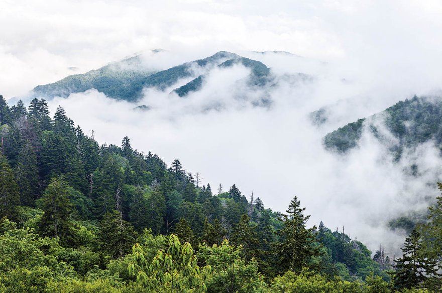 Smoky Mountains Day Trip