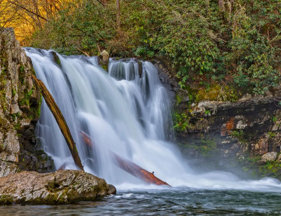 Smoky Mountains Day Trip